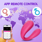 App-Controlled Couples Vibrator