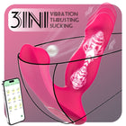 App-Controlled 3-in-1 Prostate Massager