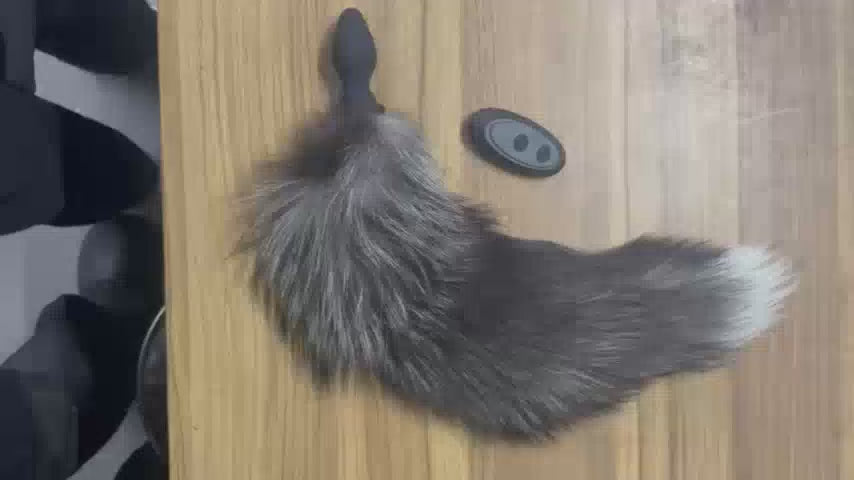 WildTail™ – 10-Mode Vibrating Fox Tail Plug